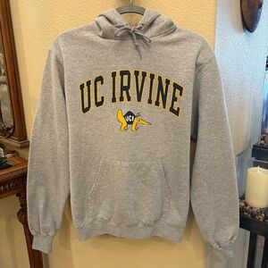 CHAMPION Gray UC Irvine Anteater Hoodie Sweatshirt Size Small-Unisex